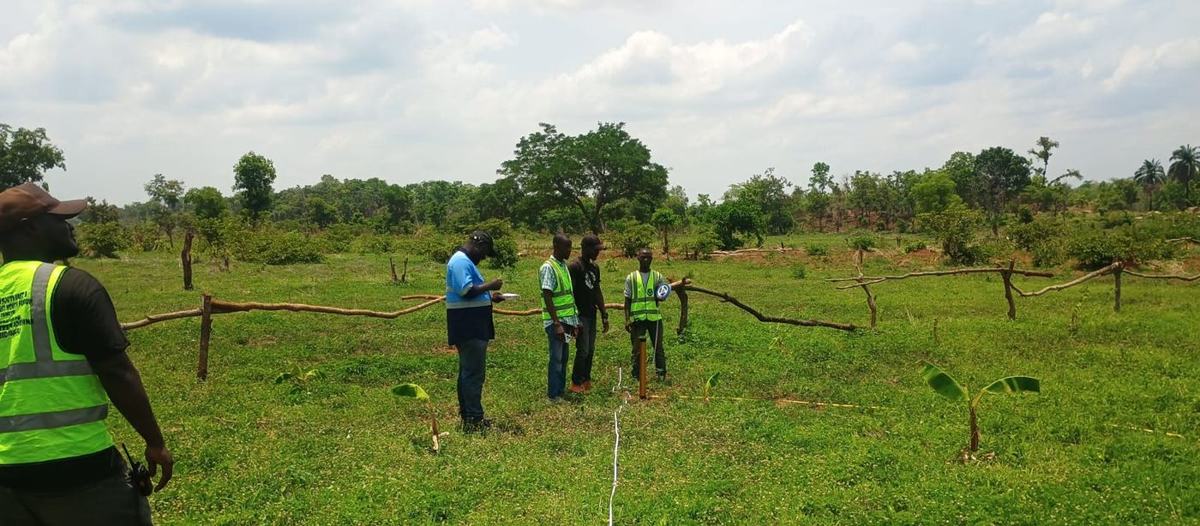 Survey line laid out across a field for a geophysical traverse