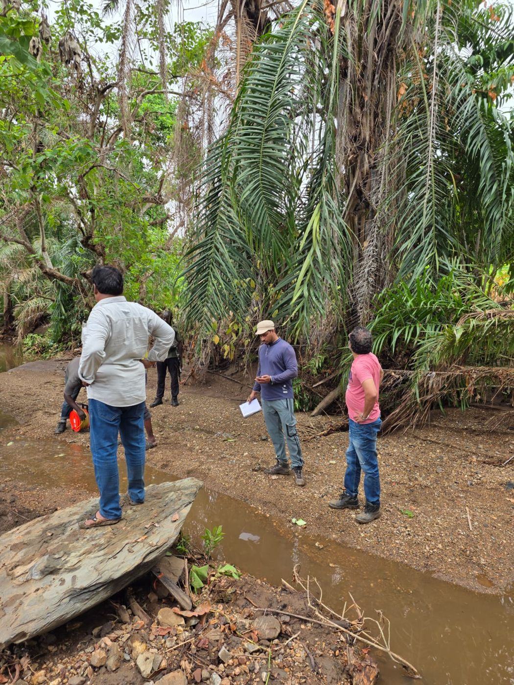 Team measuring stream flow in a forest stream
