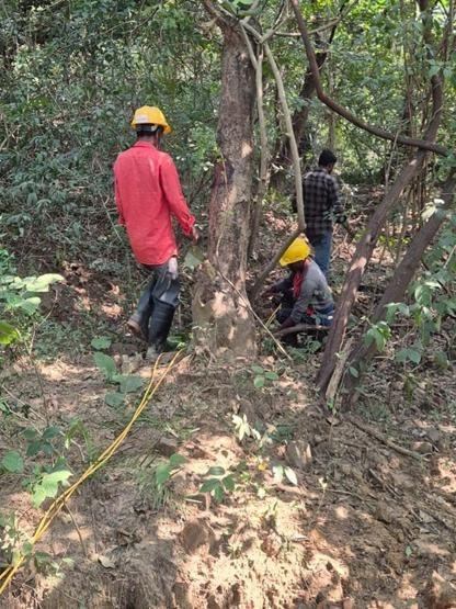 Field crew in helmets laying resistivity cable through forest